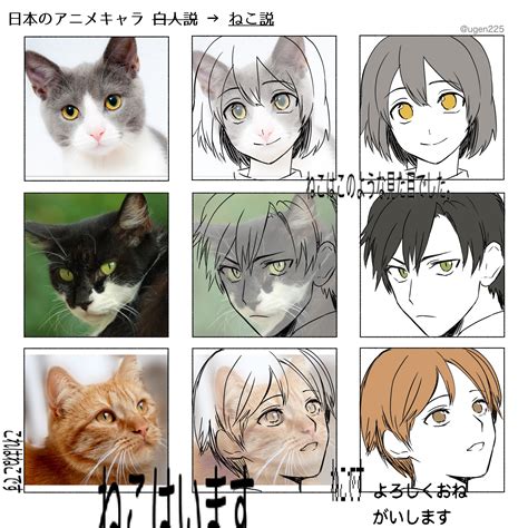 anime modeled after cats|anime cat faces.